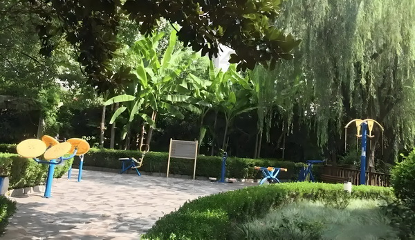 怎么把户口签到深圳_可以！杜兰特美女主持人婚礼，带球突破绯闻，再凭实力单身！ 美女主持人人的老年健康确保